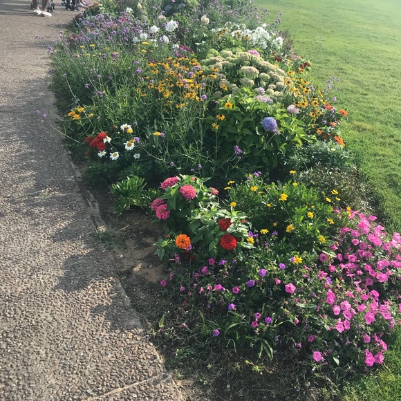 Meet your Posher, Malwina - Picture 1 of 1